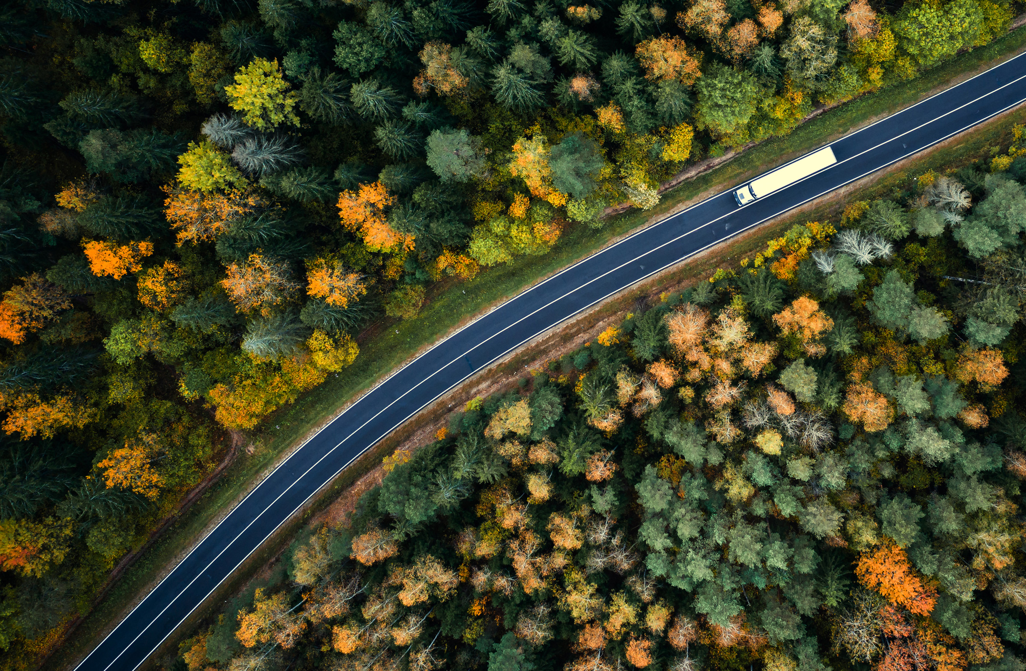 Produkcja pojazdów użytkowych, specjalistycznych i szynowych